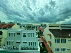 Joo Chiat Road (D15), Shop House #578545211